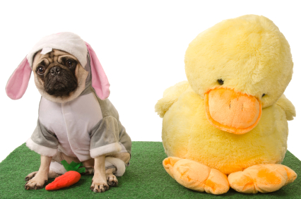 iStock 000015692405XSmall Be Your Own Social Duck: 10 Tips To Differentiate with Results