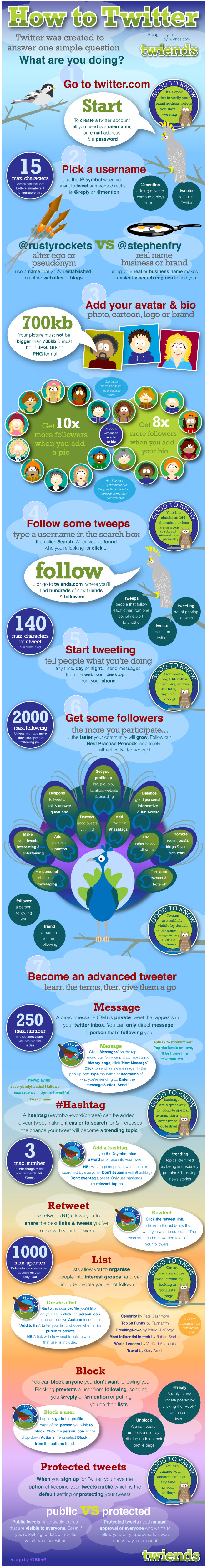 Twitter Marketing Infographic