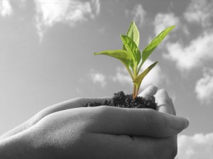 Admissions Marketing Investment