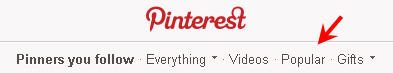 Pinterest the social media network for newcomers