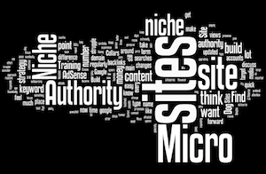 authority sites vs micro niche sites