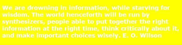 entrepreneurial skill - We are drowning in information, while starving for wisdom. The world henceforth will be run by synthesizers, people able to put together the right information at the right time, think critically about it, and make important choices wisely. E. O. Wilson