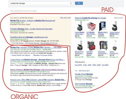 Paid versus Organic Search Results on Google