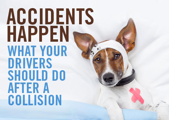 accidents happen what your drivers should do after a collision
