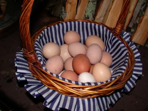 Photo of eggs in a basket