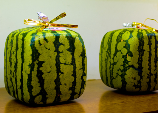 Square melons
