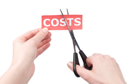IT Cost Cuts