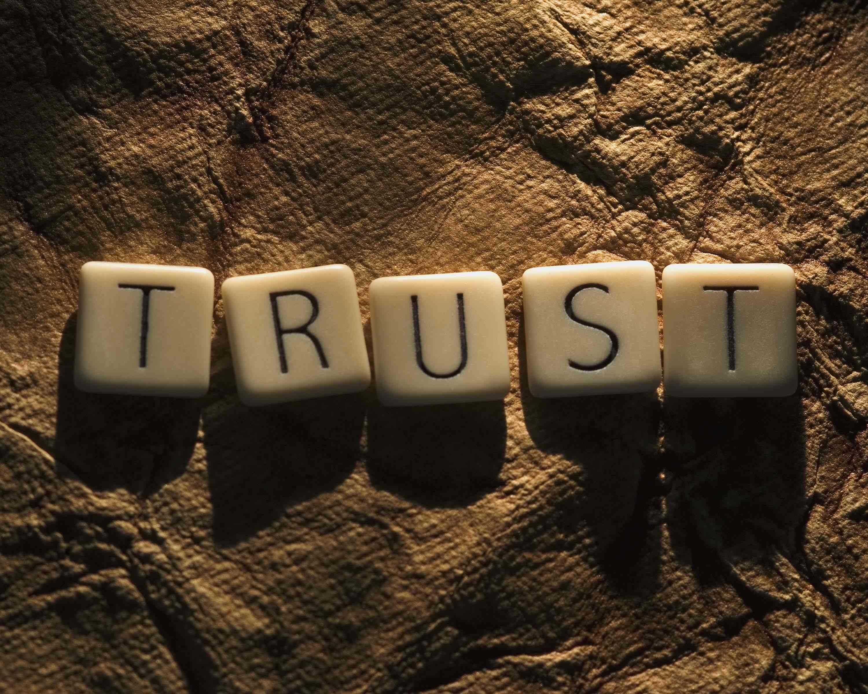 trust  Customers Demand Brands to Prove Themselves Trustworthy
