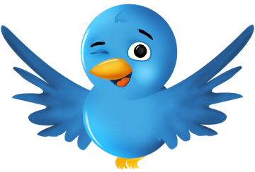 new-Twitter-header-photo-bird