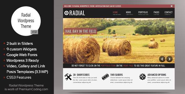 Radial - Creative Blog