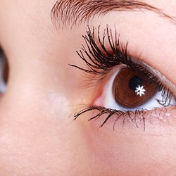 Email deliverability needs an expert's eye