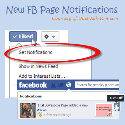Screenshot of the new "Get Notifications" link, under the Liked Button, on Facebook