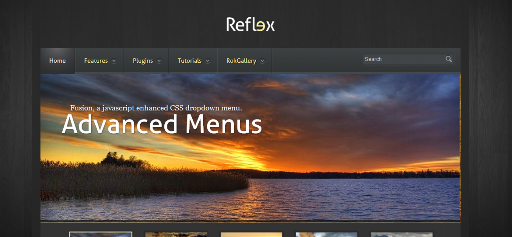 Reflex WP theme