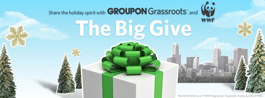 Groupon The Big Give