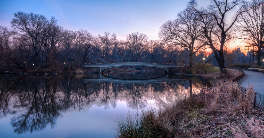 Central Park's Bow Bridge In The Early Morning