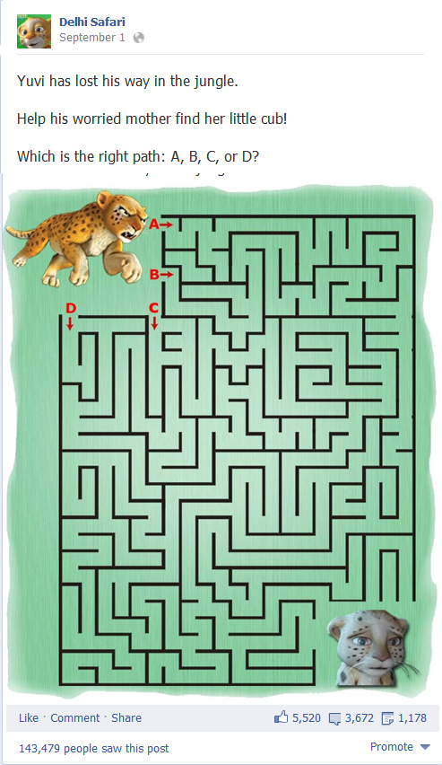 Delhi Safari Maze-Post