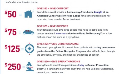 Non Profit Fundraising Example from the American Cancer Society
