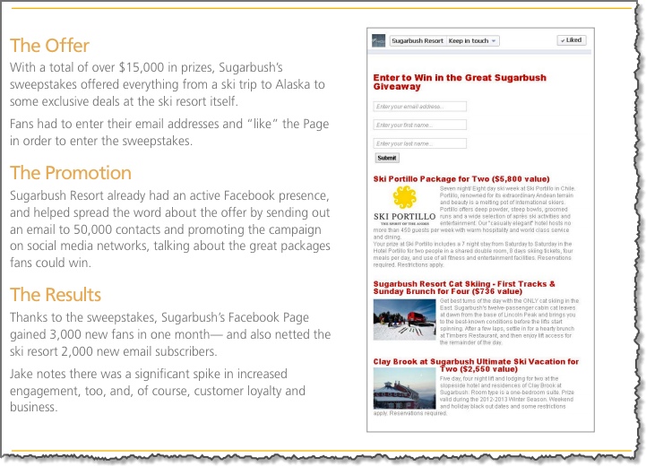 Successful Facebook Marketing Campaigns Case Study 5