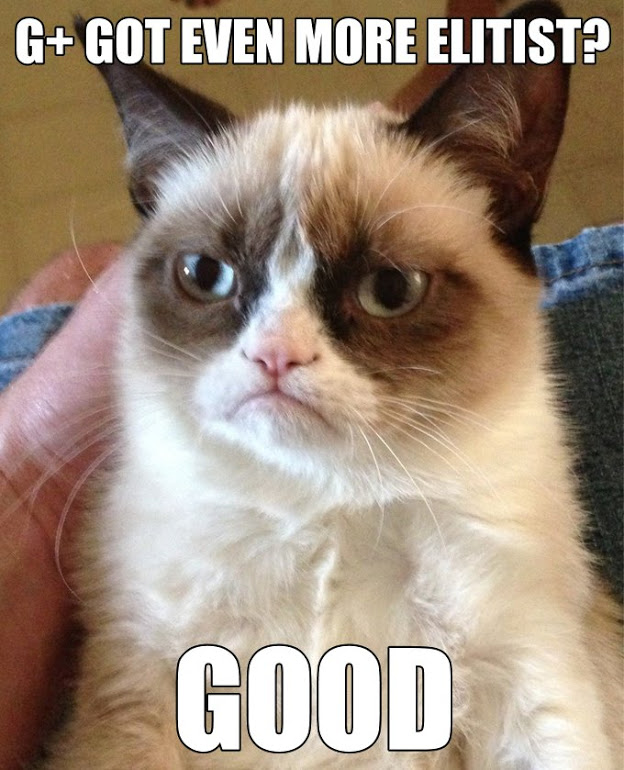 Google Plus Grumpy Cat Meme