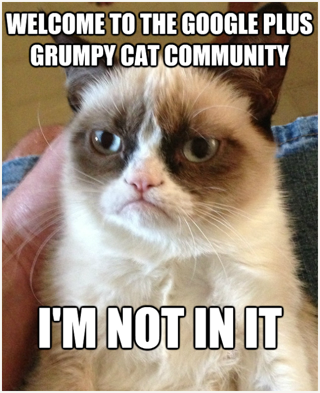 Google Communities to Grumpy Cat