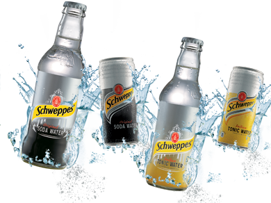 Schweppes Tonic Water 