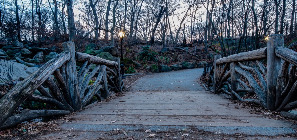 A Bridge In Central Park New York City