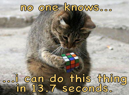 Cat Doing a Rubik's Cube Puzzle - HTML Email Newsletter Markup