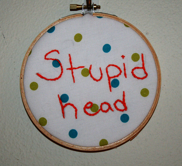 Stupid Head Insult Embroidered