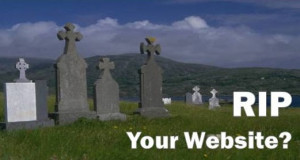 Websites, search engines are far from dead