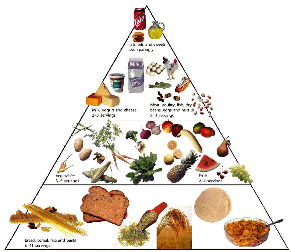 Healthy food pyramid
