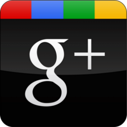 Google Plus author rank