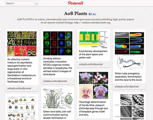 pinterest pins