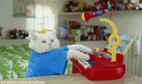 Cat Typing