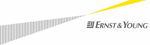 Ernst & Young Customer Experience