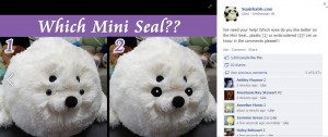 mini-seal