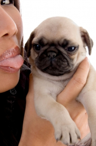Dog: "I feel offended"