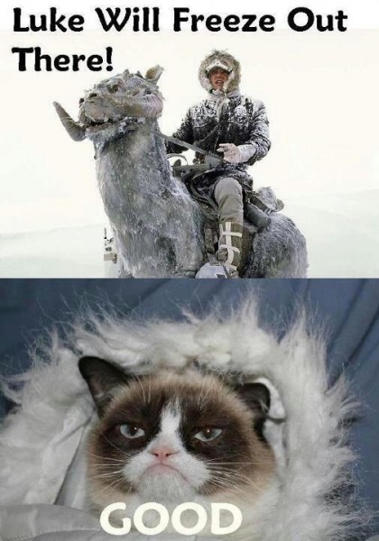 9 Reasons Why Grumpy Cat Would Be a Great Addition to Star Wars