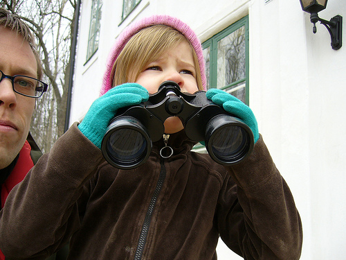 local seo for small business