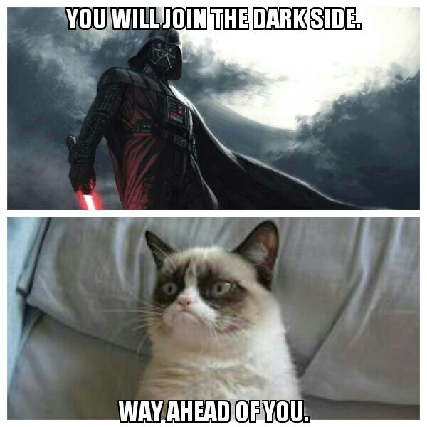 9 Reasons Why Grumpy Cat Would Be a Great Addition to Star Wars