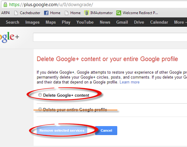 Google-Plus-Delete-Account-3