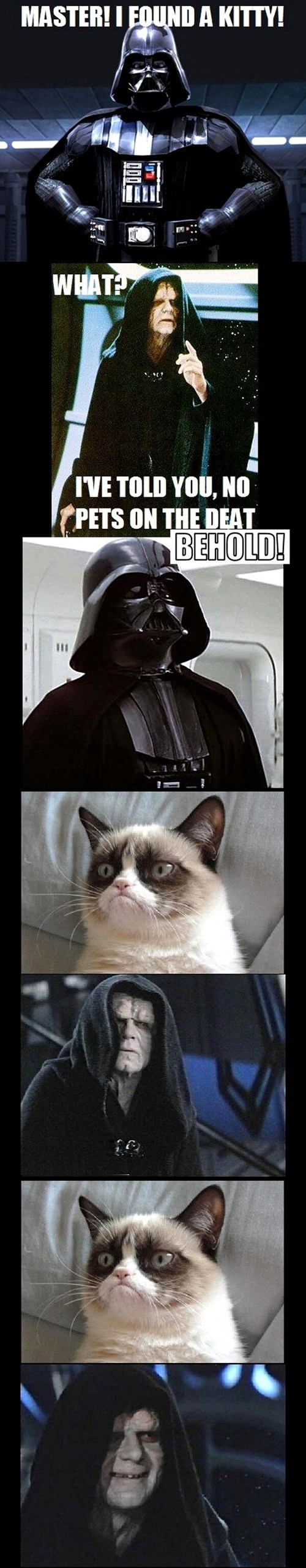 9 Reasons Why Grumpy Cat Would Be a Great Addition to Star Wars
