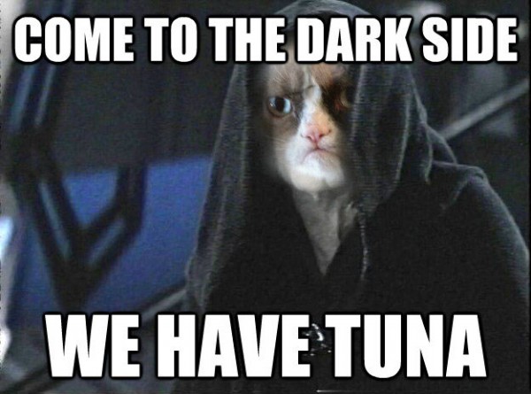 9 Reasons Why Grumpy Cat Would Be a Great Addition to Star Wars