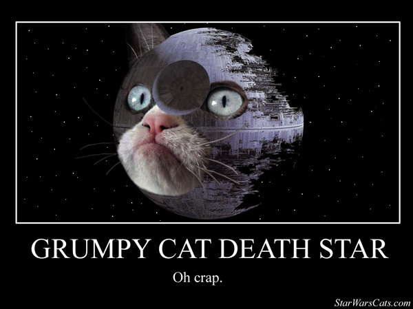 9 Reasons Why Grumpy Cat Would Be a Great Addition to Star Wars