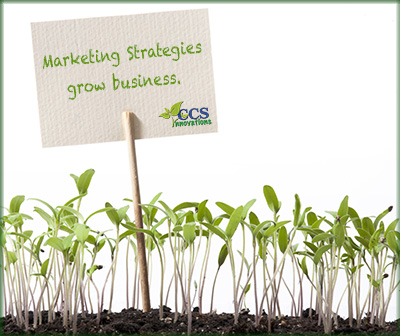 marketing strategy grows business