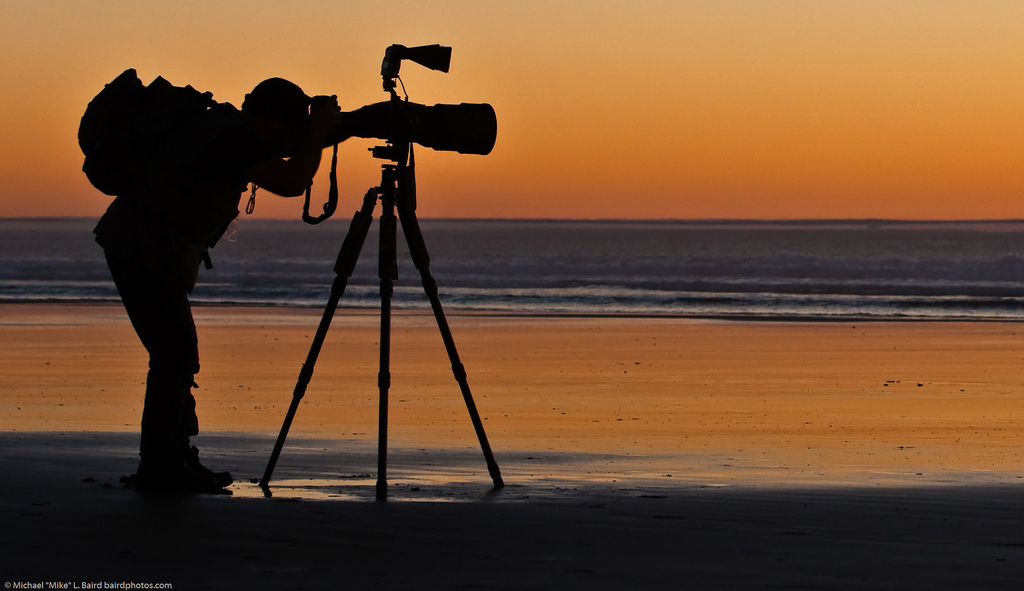 photographer