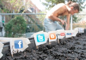 social-media-garden
