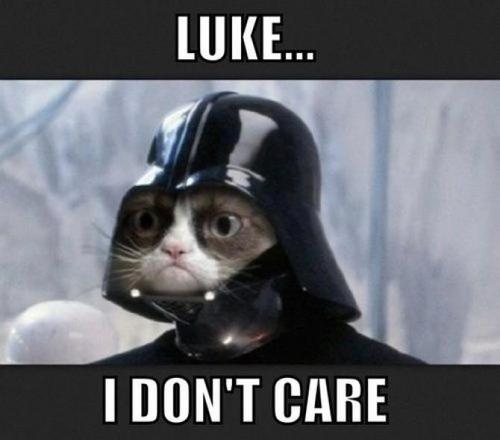 9 Reasons Why Grumpy Cat Would Be a Great Addition to Star Wars