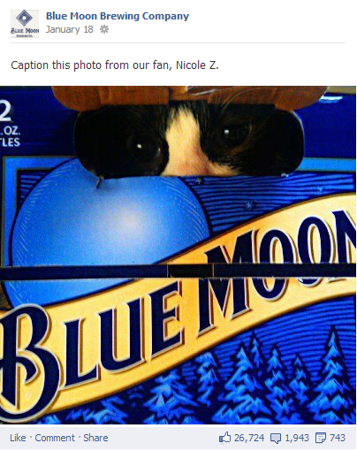 blue moon caption - interact