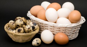 egg-basket