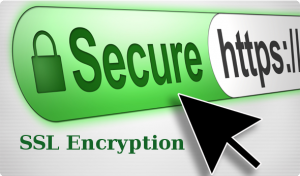 enterprise-ecommerce-site-security